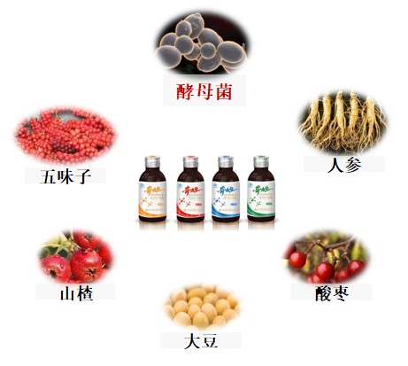 奇力生口服液:调节免疫力,为银屑病患者带来希望